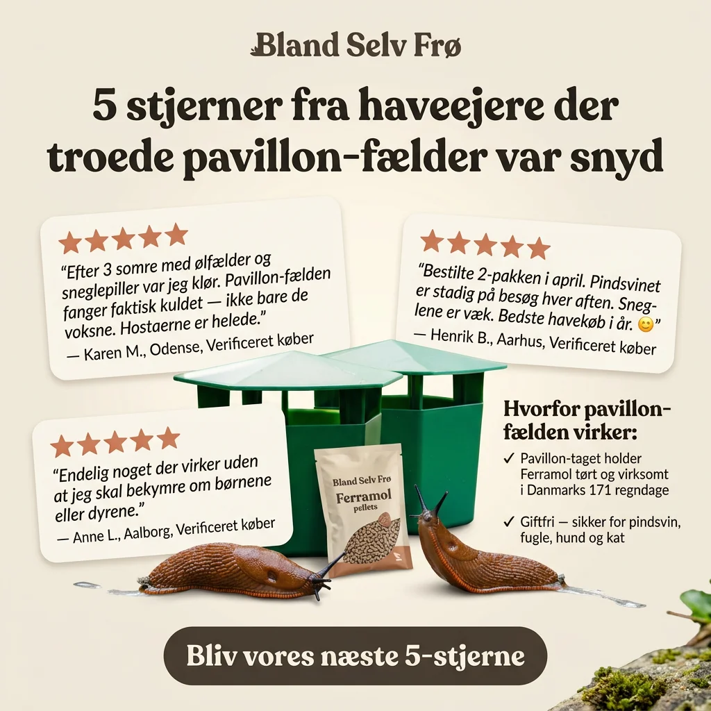 Static ad creative 19